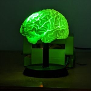 Brain LED Light Lamp