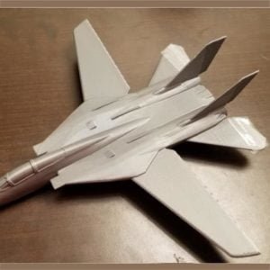 F-14 Tomcat Aircraft Model
